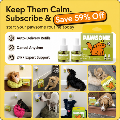 Dogs Calming Diffuser Kit