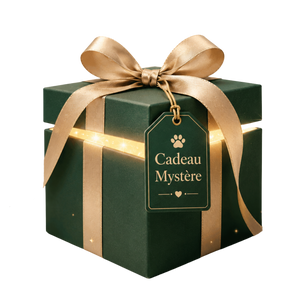 Mystery Gift